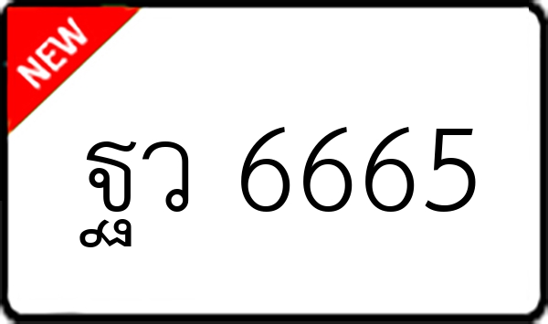 ฐว 6665